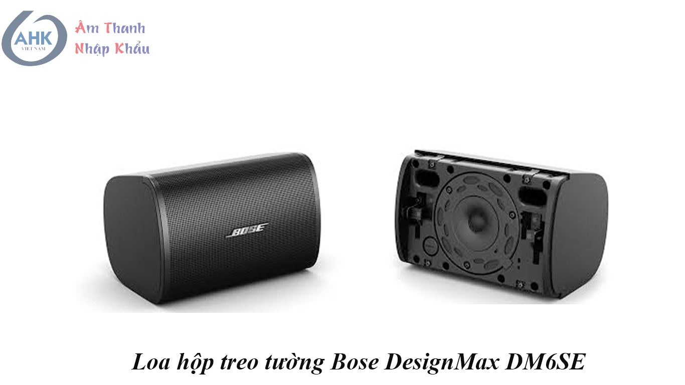 Loa hộp treo tường Bose DesignMax DM6SE