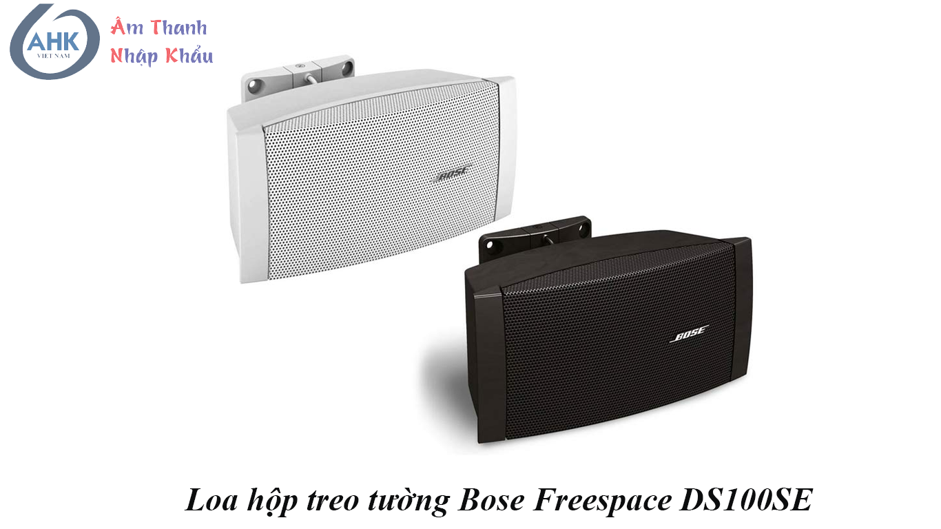 Loa hộp treo tường Bose Freespace DS100SE