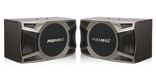 loa karaoke paramax d1000 1