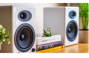 Loa Bookshelf là gì